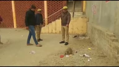 रामसनेही घाट: सुमेरगंज में मृत मिले बंदरों का एसडीएम के आदेश पर कराया गया पोस्टमार्टम, बीमारी के कारण बंदरों की हुई थी मौत