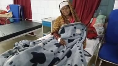 पन्ना: सलैया में खेत जा रही 50 वर्षीय महिला को गाय ने सींग मारकर किया घायल, जिला अस्पताल में उपचार जारी