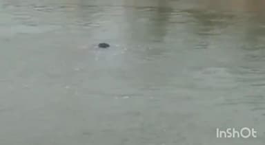 धरमपुरी: धामनोद के समीप ओमकारेश्वर नहर परियोजना में 3 दिन से लापता व्यक्ति की लाश मिली