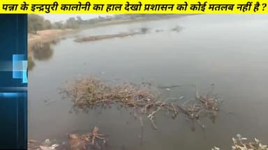 पन्ना:- इन्द्रपुरी कालोनी की गंदगी देखो प्रशासन को कोई मतलब नहीं है ? 😠 #pannacollector #pannanews