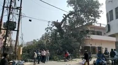 फैज़ाबाद: राम पथ चौड़ीकरण के रास्ते में पडने वाले जर्जर पेड़ों को काटने का काम शुरू,