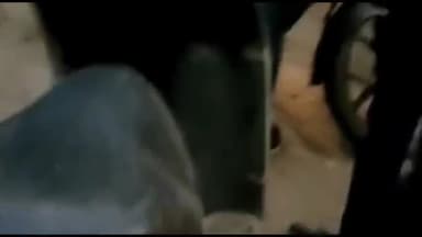 अररिया: पनार पुल के पास स्कूटी को हाईवा ने पीछे से मारी टक्कर हादसे में एक की मौत एक गंभीर रूप से घायल