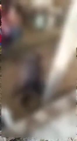 जलेसर: नगला मितन में विद्युत पोल में करंट उतरने से भैंस की हुई मौत पुलिस को दी गई जानकारी.