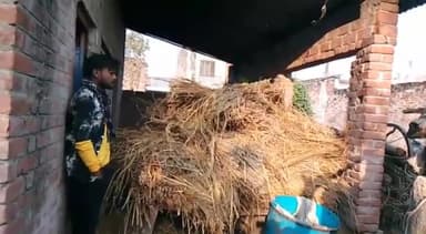 नवाबगंज: बोजा गांव में अवैध कब्जेदारी को नायब तहसीलदार की मौजूदगी में हटवाया गया