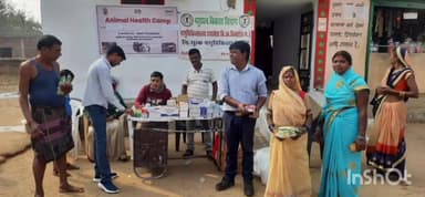 आरंग: अडानी फ़ाउंडेशन द्वारा रायखेड़ा में निःशुल्क पशु चिकित्सा शिविर का किया गया आयोजन