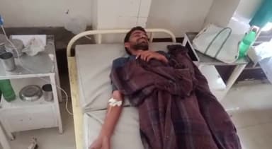 खुरई: चकेरी गांव में बंदरों को भगाने गए पिता और बेटे पर मधुमक्खियों ने किया हमला, सिविल अस्पताल खुरई में कराया गया भर्ती