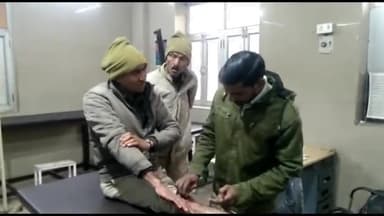 मैनपुरी: ईशन नदी पुल पर ट्रक की टक्कर से बाइक सवार 2 होमगार्ड हुए घायल, उपचार के लिए जिला अस्पताल में कराया गया भर्ती