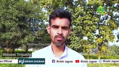 Wheat Varieties: गेहूं की सबसे नई उन्नत किस्में, जो देंगी अच्छे उत्पादन के साथ मुनाफा भी
#ftj #farmerthejournalist