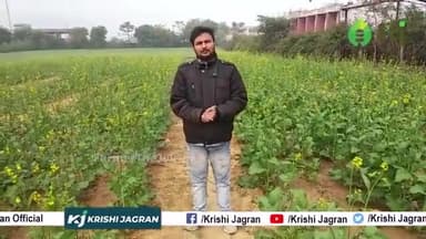 दानेदार यूरिया या फिर liquid यूरिया जानें क्या है आपके फसल के लिए बेहतर

#liquid #urea #agriculture #farmers