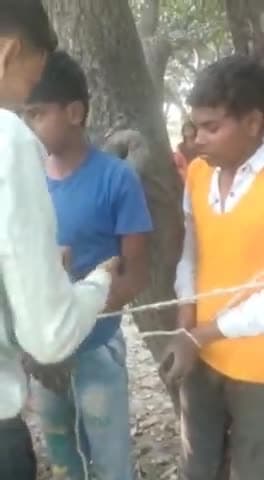 नवाबगंज: नगर कोतवाली क्षेत्र के खपरिया गांव में छेड़छाड़ के आरोप में 2 लड़कों को तालिबानी सजा देते वीडियो हुआ वायरल