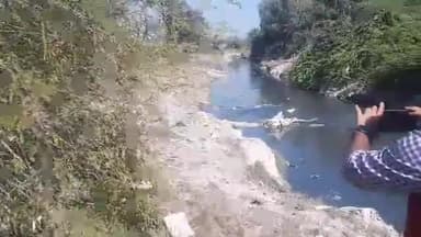 लाडपुरा: चंद्रोलोई सहित नदी नालों में मगरमच्छों के संरक्षण के मामले को लेकर कोर्ट में लगाई गई याचिका, वन अधिकारी से मांगा जवाब