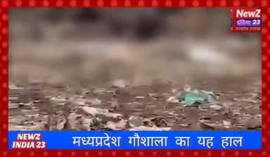 #गाय की मौत के बाद #चमड़ा और हड्डी भी बेच रहे हैं मध्य प्रदेश गौशाला की सच्चाई का वीडियो आया सामने