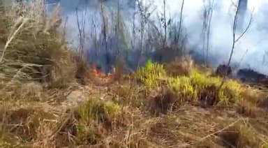 गरखा: केवानी चंवर में किसान के झलसी में लगी अचानक आग, कई बोझा जलकर राख