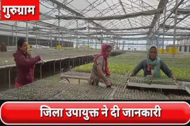 गुरुग्राम: जिला उद्यान दफ्तर में इजराइल तकनीक से सब्जियों की पौध तैयार कर अनुदान योजना के तहत किसानों को दिया जा रहा है: DC