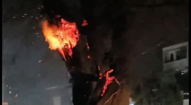 मेरठ: हापुड़ रोड पर विद्युत विभाग के तारों से निकली चिंगारी से विशाल पेड़ में लगी भीषण आग, दमकल विभाग ने पाया काबू