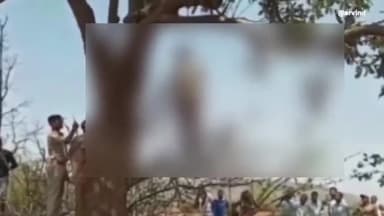 सिंगरौली: पिडरिया के नर्सरी ढूंहा नाला के पास अज्ञात महिला का शव फंदे पर झूलता मिला, जांच में जुटी पुलिस