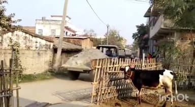 गोगरी: गोगरी प्रखंड के महेशखूंट थाना अंतर्गत बड़ी भदलय गंगा किनारा से अवैध मिट्टी खनन ट्रैक्टरों से किया जा रहा है