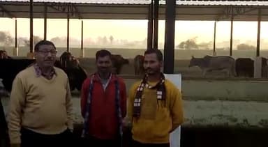 जलेसर: नगर पंचायत द्वारा संचालित कान्हा गौशाला का मुख्य पशु चिकित्सा अधिकारी ने किया निरीक्षण.