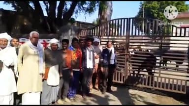 सैफई: नगला सेवा में साधन सहकारी समिति में किसानों ने आवारा गोवंश को किया बंद, एसडीएम ने गोवंश को गौशाला में भिजवाया