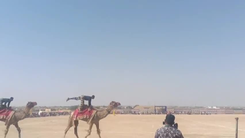 डेडानसर मैदान मे BSF जवानों ने ऊंटों पर सवार होकर दिखाएं कर्तव्य #jaisalmer #news #pokran