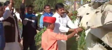 जैसलमेर: करणी सेना के स्थापना दिवस पर जिले में स्थित करणी गौशाला में प्रदेशाध्यक्ष ने गौ माता को लापसी व हरा चारा खिलाया