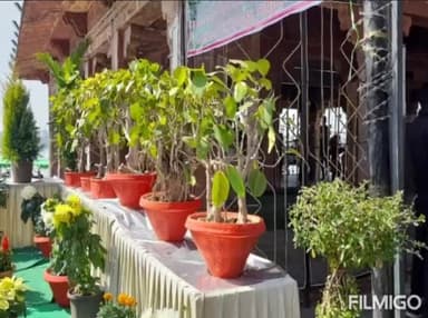 कोटा महोत्सव के तहत किशोर सागर तालाब की पाल पर पुष्प प्रदर्शनी आयोजित हुई। रंग बिरंगे फूल पौधे बने आकर्षण का केंद्र।