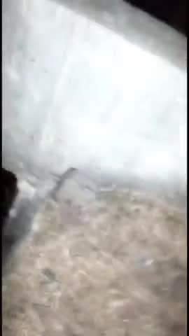 शाजापुर: सारंगपुर उकावता के समीप पूर्व विधायक एवं भाजपा नेता के हुए एक्सीडेंट का वीडियो आया सामने