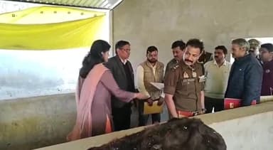 रायबरेली: डीएम ने गौशालाओं में चारा सहित सभी व्यवस्थाओं को दुरुस्त रखने के लिए संबंधित अधिकारियों को दिए कड़े निर्देश