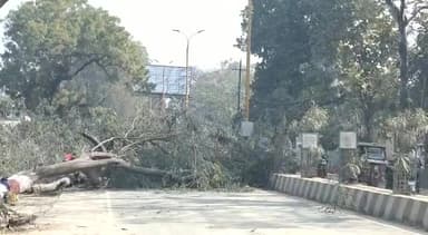 फैज़ाबाद: जालपा मंदिर के सामने राम पथ चौड़ीकरण के तहत रास्ते में पड़ने वाले पेड़ों को काटने का काम हुआ शुरु