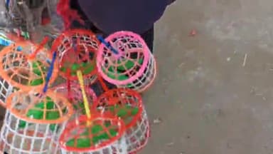 कदवा: कल्याणी ऐतिहासिक नदी के तट पर आयोजित 4 दिवसीय मेले में चढ़ावा चढ़ाने आए श्रद्धालु