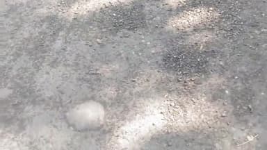 बलरामपुर समाचार सड़क निर्माण विभाग में मची लूट योगी सरकार का नहीं विभाग को खौफ इधर बनी सड़क उधर उड़ने लगी गीतियां मामला सरयू नहर माइनर के बगल बैजपुर उदईपुर गांव के बगल का नवनिर्मित सड़क का मामला अब पर अभियंता अखिले न्यूज़ क्रांति की रिपोर्ट