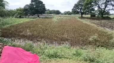 जावरा: जावरा ग्राम उखेड़िया में दोस्त को घर लाने की बात पर विवाद में दो पक्षों में हुई मारपीट, क्रास केस दर्ज