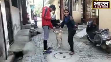 कानपुर: #कानपुर#स्ट्रीट डॉग को दुर्घटना से बचाने के लिए चालू की नई पहल#