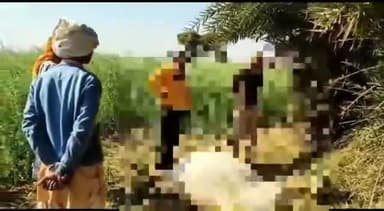 कामां: असामाजिक तत्वों ने कामां में गाय की गोली मारकर की हत्या, गौ सेवकों में आक्रोश