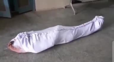 अनूपशहर: गांव भट्टाबारी पुर में बाग रखवाले की संदिग्ध परिस्थितियों में हुई मौत