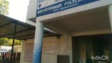नीमच नगर: पशु मालिक ने बकरी की मौत के बाद जिला पशु चिकित्सालय के चिकित्सक पर इलाज में लापरवाही बरतने के लगाए आरोप