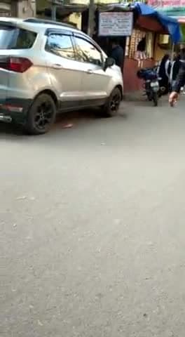 गाज़ियाबाद कोर्ट परिसर मैं घुसा तेंदुआ मचा हड़कंप कोर्ट मैं तेंदुआ घुसने से बकीलों मैं दहशत का माहौल  6 लोग घायल