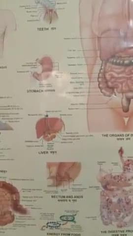 body ko detox karo aur Hamesha khush raho call me 8279783008