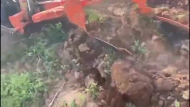 कांके: सिमलिया स्थित फार्म हाउस में ट्रैक्टर चलाते टीम इंडिया के पूर्व कप्तान धोनी का वीडियो हुआ वायरल