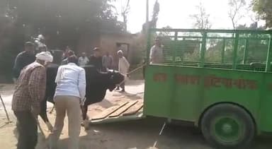 गोंडा: बस्ती पंचायत में मौजूद छुट्टा गोवंशों को पकड़ कर रानीपुर गौशाला में छोड़ने के लिए लगे अनेक कर्मचारी, बीडीओ ने दिए निर्देश