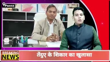पन्ना: वन विभाग की टीम ने पन्ना टाइगर रिजर्व में तेंदुए के शिकार मामले में 2 आरोपियों को पकड़ा