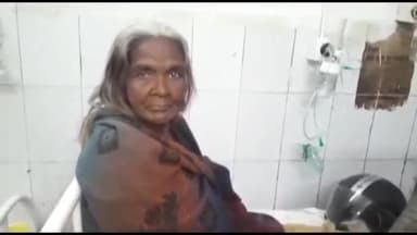 अररिया: त्रिसकुंड गांव में चापाकल पर गई एक महिला को सांप ने डंसा, इलाज के लिए सदर अस्पताल में भर्ती