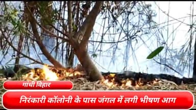 मॉडल टाऊन: राजधानी दिल्ली के गांधी विहार निरंकारी कॉलोनी के पास जंगल में लगी भीषण आग