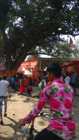 तकिया में तिलेश्वर धाम मंदिर परिसर में रविवार सुबह से ही श्रद्धालुओ की उमड़ी है भीड़।