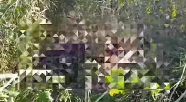 बदायूं: ग्राम मोहम्मदी के पास सरसों के खेत में क्षत-विक्षत अवस्था में मिला एक महिला का शव, पुलिस ने शव को पोस्टमार्टम हेतु भेजा