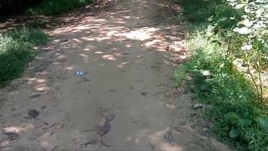 बिक्रमगंज: प्रखंड क्षेत्र के घुसियां पंचायत के ग्रामीणों ने पक्की सड़क बनवाने को लेकर मुख्यमंत्री को सौंपा ज्ञापन