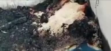 पूर्णिया पूर्व: गोसिया टोला में अचानक आग लगने से दो परिवारों के चार घर जलकर हुए राख