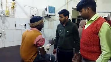 बदायूं: मिर्जापुर बिचौला गांव में चारा निकालते समय एक युवक को सांप ने काटा