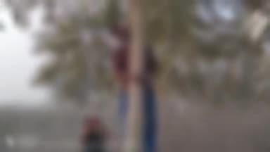 रॉबर्ट्सगंज: चोपन थाना क्षेत्र के कनछ गांव में संदिग्ध परिस्थितियों में युवक ने लगाई घर के बरेंड पर लगाई फांसी।