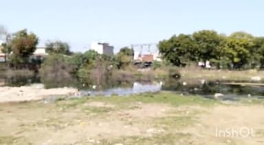 रेवाड़ी: शहर के वार्ड नंबर 2 में साफ-सफाई व सीवर ओवरफ्लो की बनी समस्या